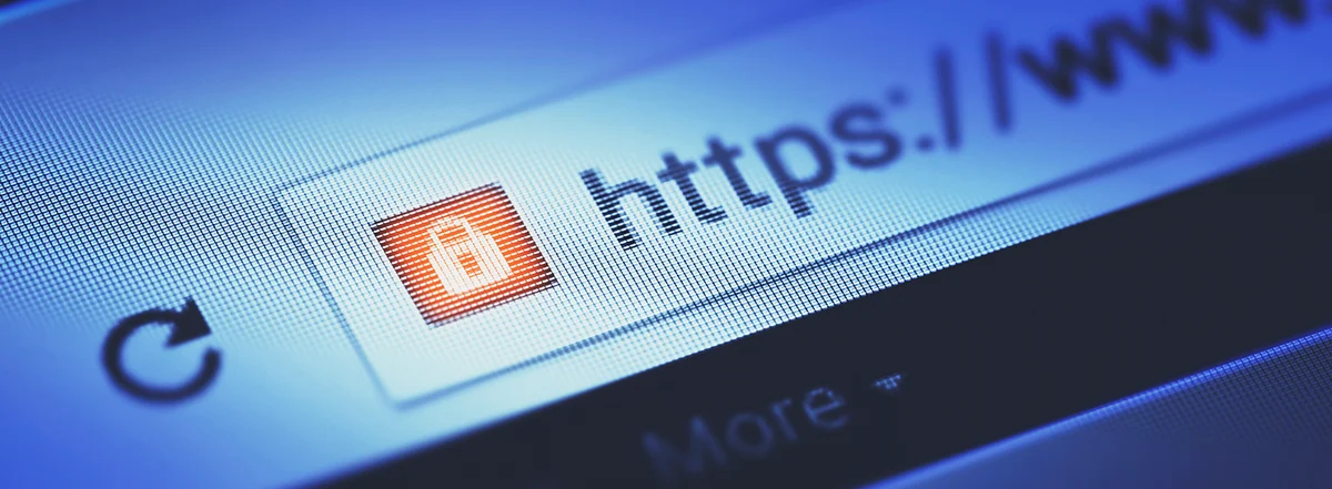 这个网站安全吗？您的完整网站安全检查指南 - 主图